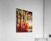 Naples Beach Banyan Tree  Acrylic Print
