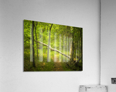 2022 May 04 IndianCrk01 Acrylic Print