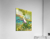 Naples Madison Park Egret Pastel Acrylic Print
