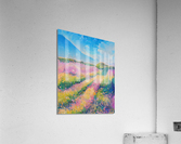 Lavender Fields Acrylic Print