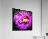 April Showers Acrylic Print