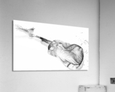 Curves of Sound Acrylic Print