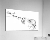 Curves of Sound End Acrylic Print