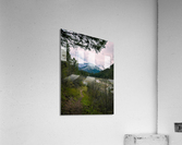 BABB8256 9C44 44F8 99C9 11D0DE30EE8D Acrylic Print