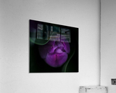 C6BA5956 485C 428F 9B48 A938EE047FD1 Acrylic Print