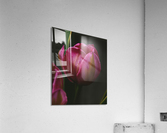 465D0B73 E859 4EFB A8C1 F135AA14F216 Acrylic Print