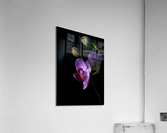 6A02853C 7714 4028 BE2A F75DC0C40BED Acrylic Print