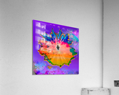 Eye of the Sun Acrylic Print