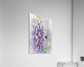 6DA728DD D5BE 4999 BCA9 05CE56D0B715 Acrylic Print