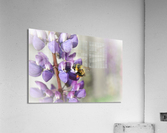 C7C17AC9 0B65 429C 8DB7 C6CEF130F4DC Acrylic Print