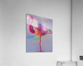 Flamingo Pride  Acrylic Print
