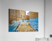 86E16CC0 5519 4451 A67F 89615634A88B Acrylic Print