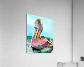 Dockside Pastel Pelican  Acrylic Print