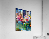 Orchid 1 Acrylic Print