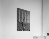 Bare Bones  Acrylic Print