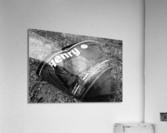 Henry  Acrylic Print