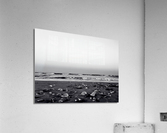 Shells and Sky  Acrylic Print