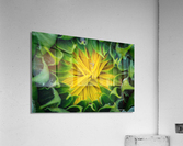 Awaiting The Moment Acrylic Print