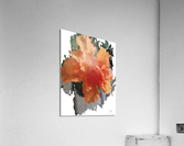 Hibiscus double Acrylic Print