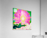 Sunday Acrylic Print