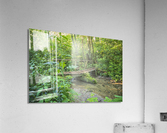 2022 June 20 RusticBridge01 Acrylic Print