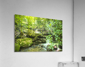 2022 June 20 NoNameFalls01 Acrylic Print