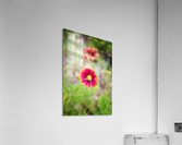 2022 June 10 IndnBlnkt01 Acrylic Print