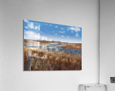 La digue aux aigrettes 2 Acrylic Print