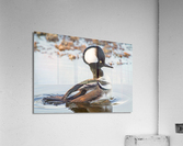 MERRIT ISLAND  Acrylic Print