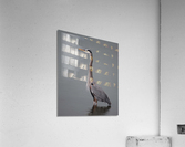 Great Blue Heron Acrylic Print