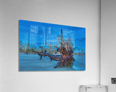 Driftwood Beach Acrylic Print