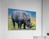 RHINO Acrylic Print