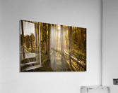 Aspen Afternoons Acrylic Print