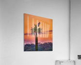 Sunset at Viera Wetlands Acrylic Print