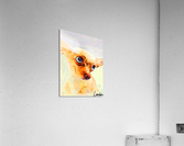 Its A Dogs World Acrylic Print