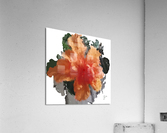 Symphonie en corail Acrylic Print
