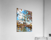 Paris in Autumn Acrylic Print