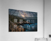 Bioluminescence  Acrylic Print