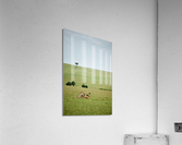 Guard Cats Acrylic Print