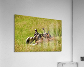 Leftovers Acrylic Print