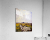 A walk after the rain Acrylic Print