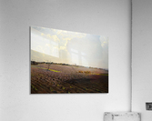 The land Acrylic Print