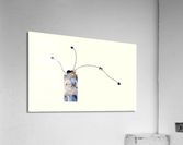 The Secret VISUAL POETRY SEASHELL COLLECTION WITH SEASCAPE PHOTOGRAPHY Acrylic Print