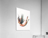 Free Fall Acrylic Print