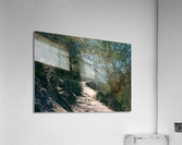 A Pinnacles Trail Acrylic Print