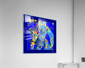 FOXGLOVES 001  Acrylic Print