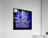 TREES 001 Acrylic Print