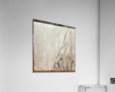 Moonstruck Insomniac 1 Acrylic Print