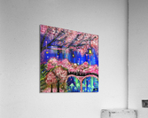 913C62B0 C5B7 4702 9F10 977ADF593AAE Acrylic Print