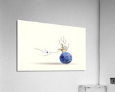 useless past VISUAL POETRY SEASHELL COLLAGE COLLECTION WITH SEASCAPE PHOTOGRAPHY MARINE IKEBANA POETRY Acrylic Print